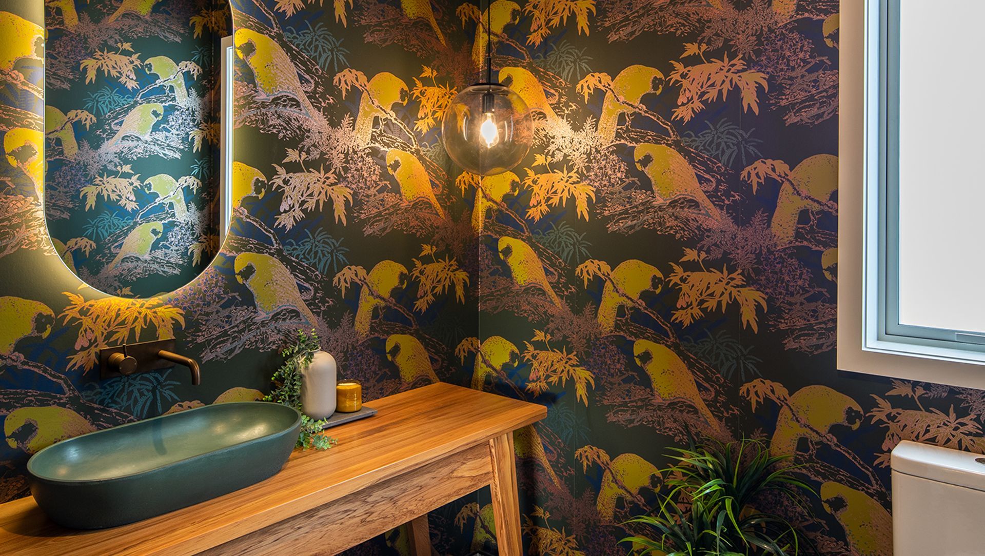 David Reid Wairarapa banner