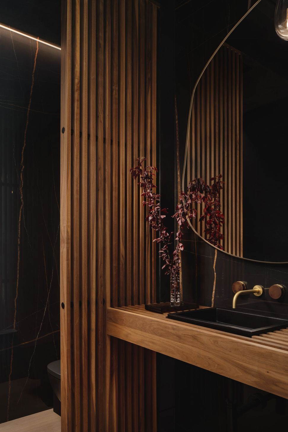 Cypress-Residence-ALIGN-Austin-Architects-Powder-Bath.jpg