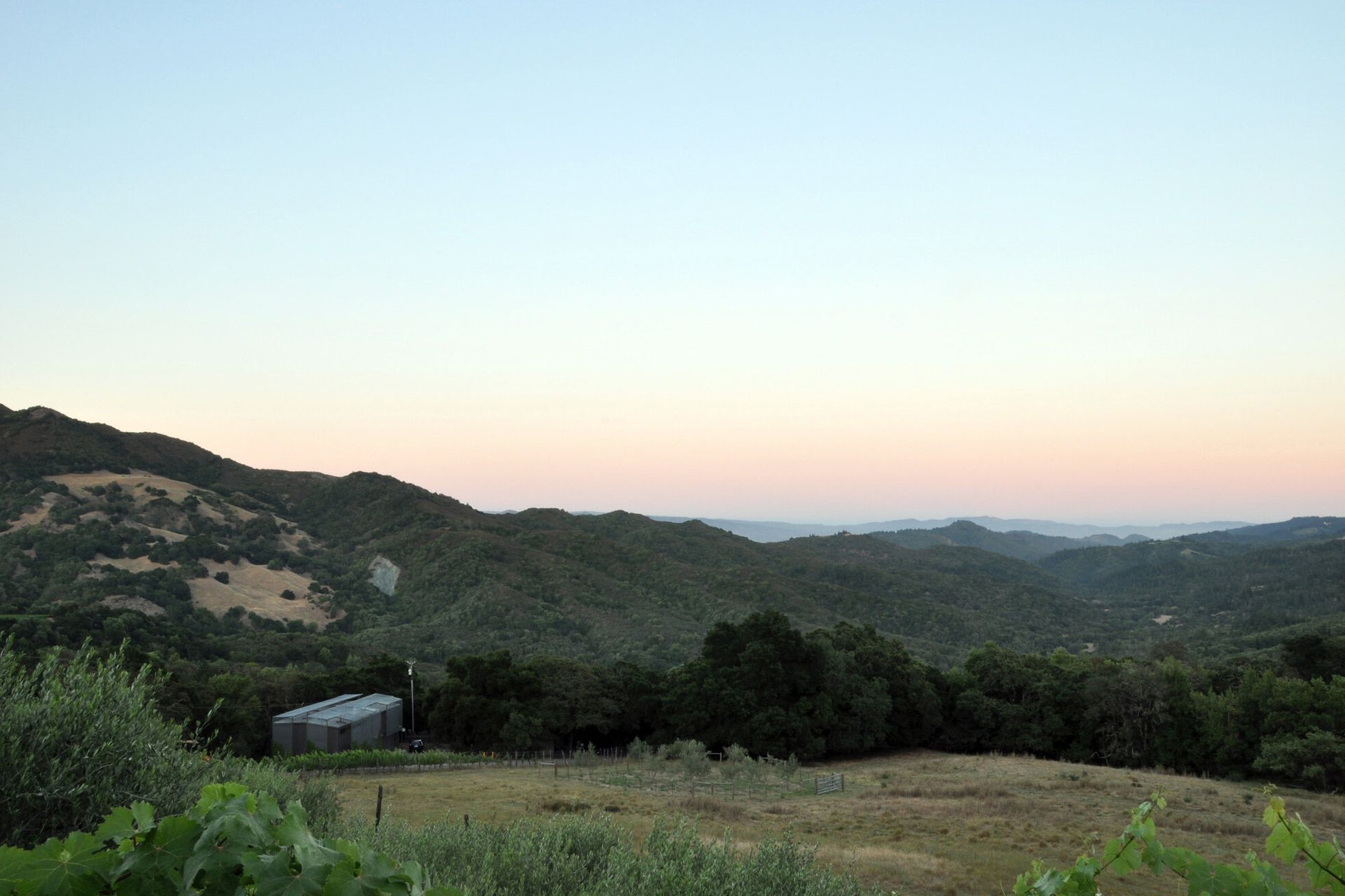 DISTANT-HORIZ1.jpg