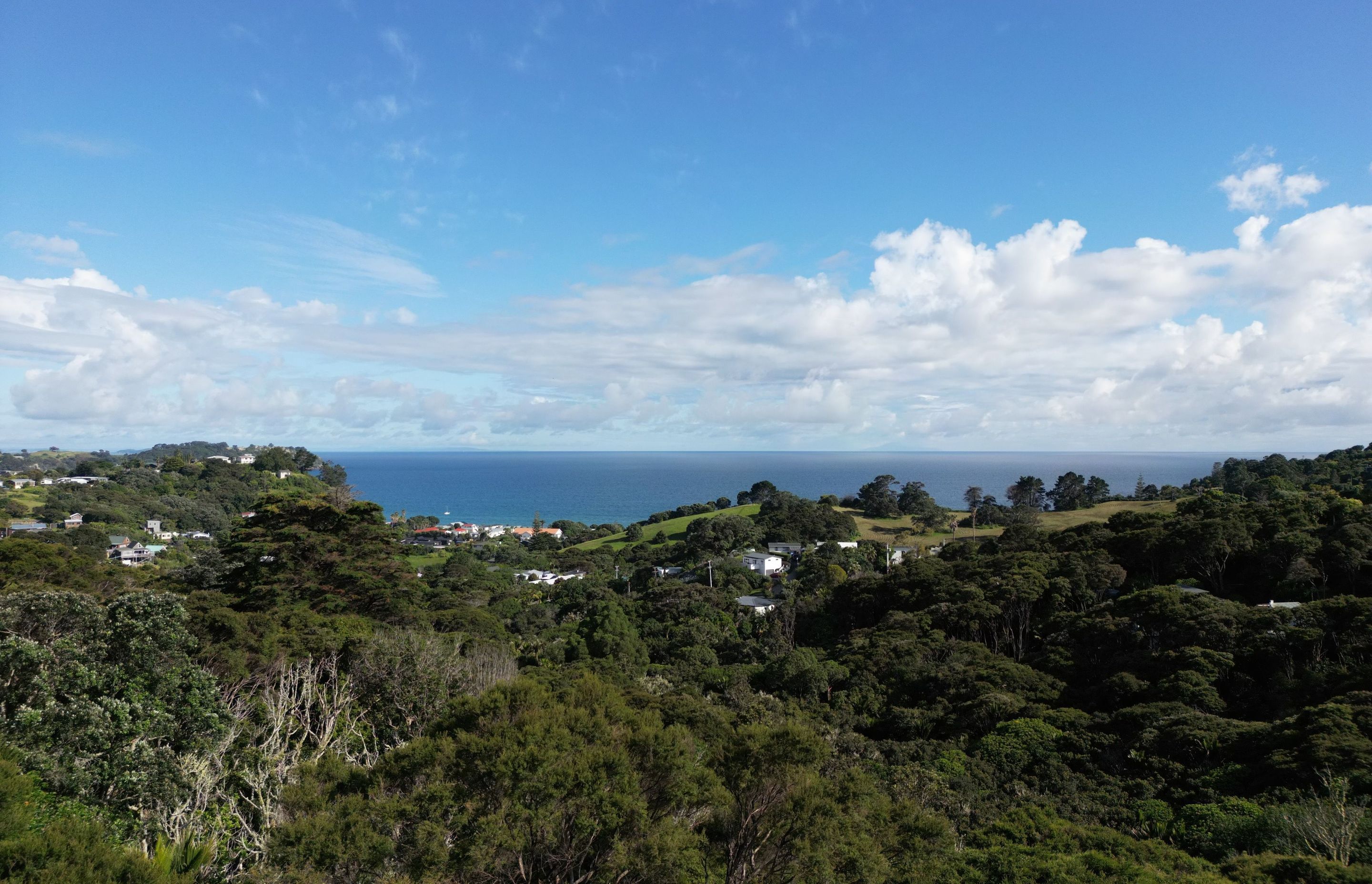 Pohutakawa House