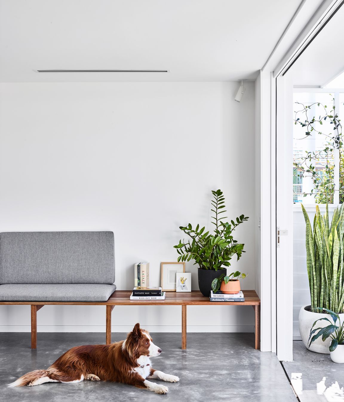DL-Constructions-Balgownie-Drive-House64891-v2.jpg