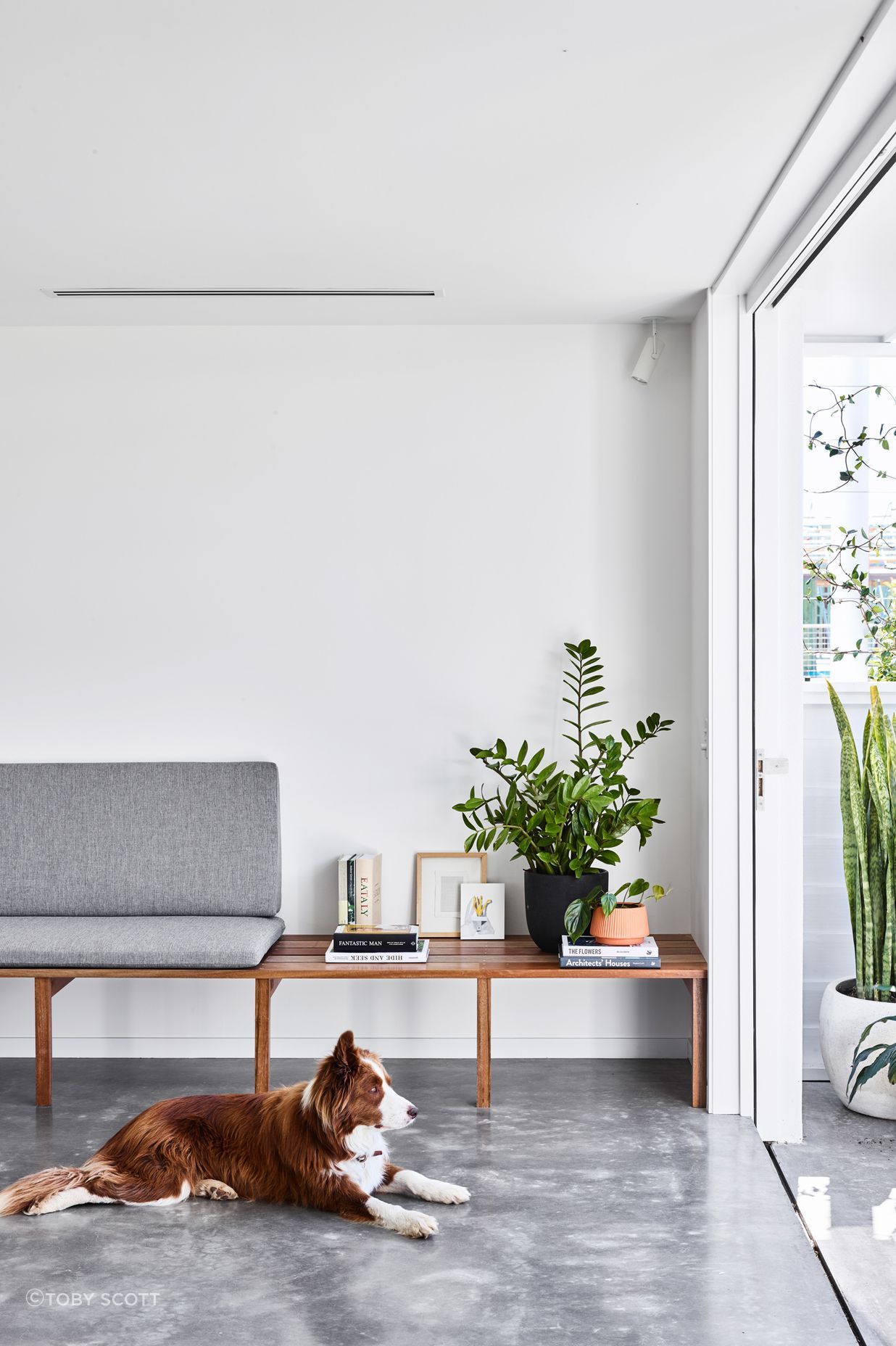 DL-Constructions-Balgownie-Drive-House64891-v2.jpg