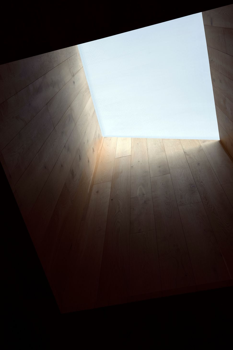 DSF0890lrgB-ap-compressed.jpg