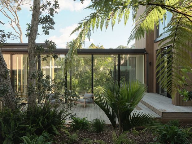 A lush landscaped courtyard framed by a contemporary timber-clad house. A broad timber deck and pale paved walkway lead to full-height black-framed glazing, with a small outdoor chair visible inside the sheltered courtyard. Dense tropical and fern planting surrounds the building, creating a private, tranquil garden setting.