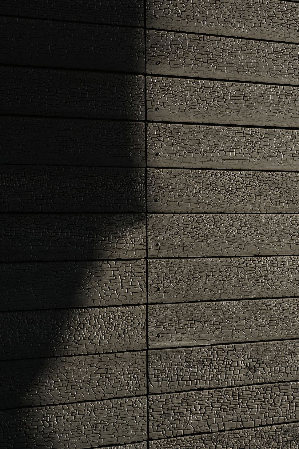 DSF7273web.jpg
