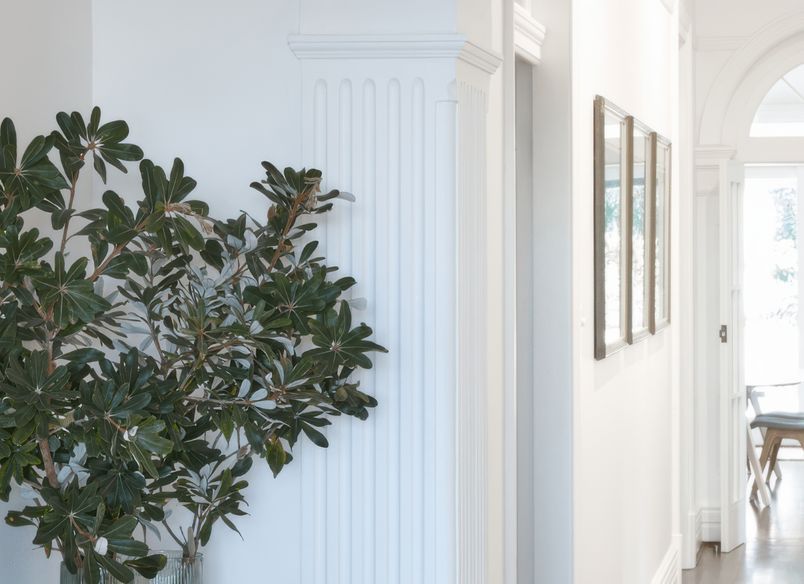 Mosman Federation Home