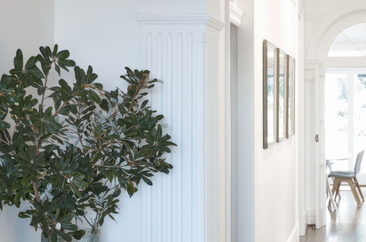 Mosman Federation Home