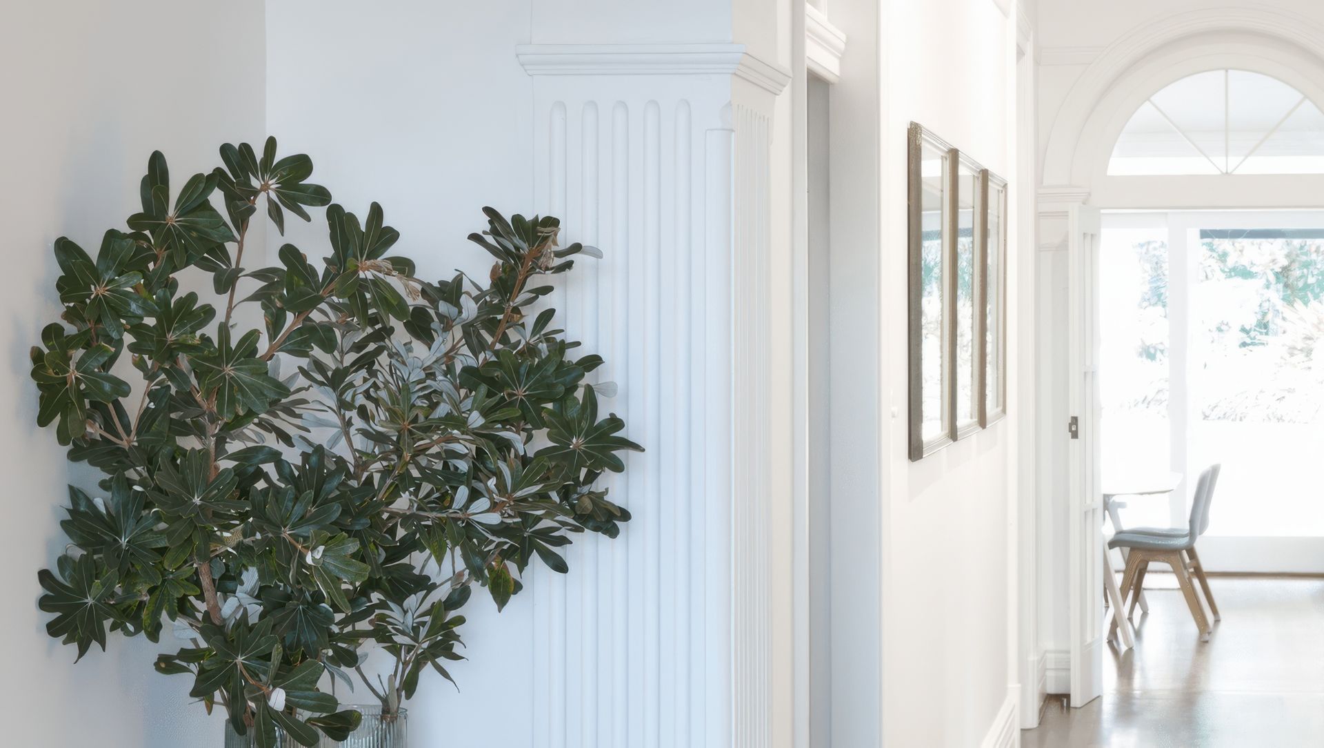 Mosman Federation Home banner