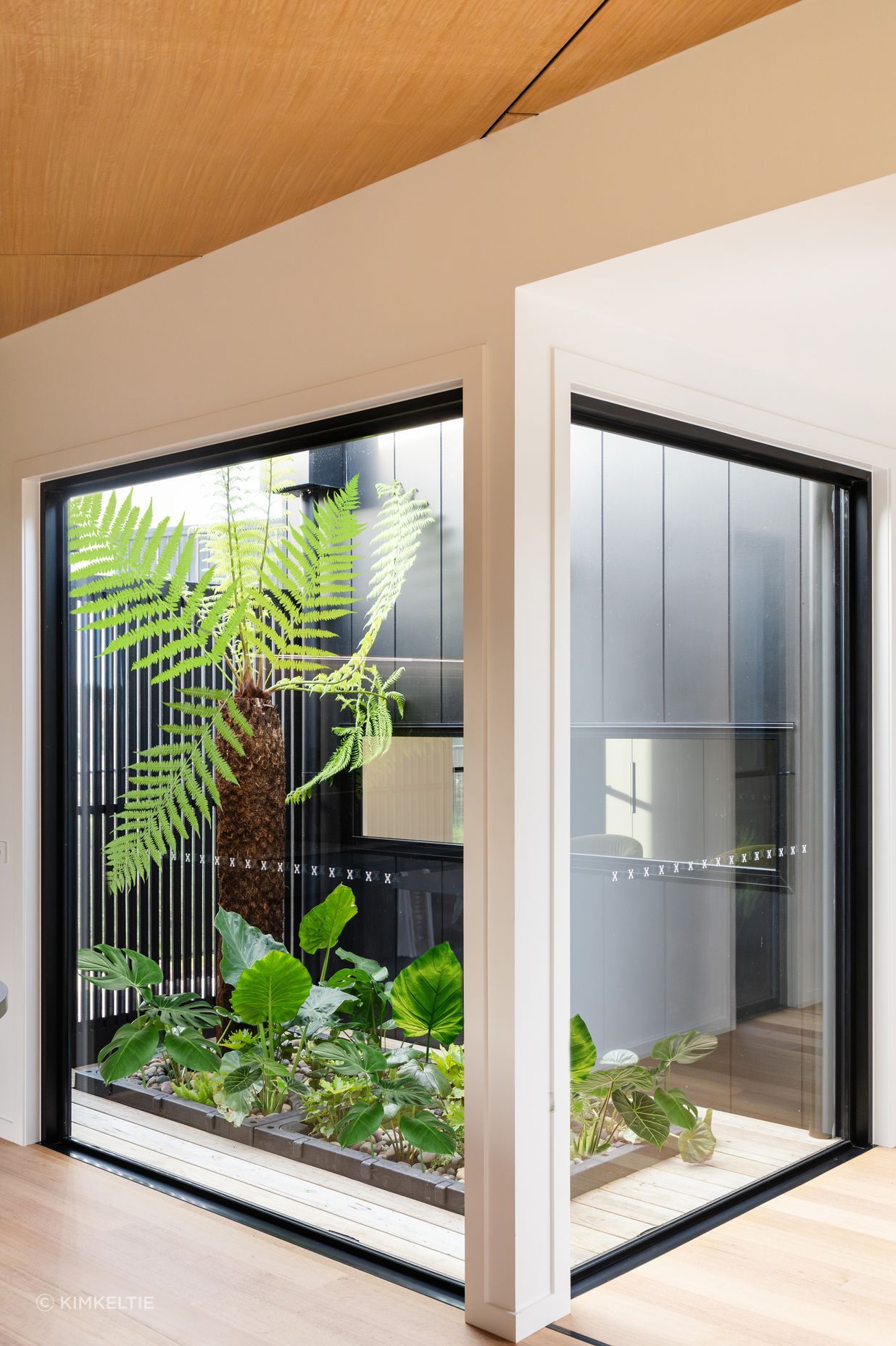 EcoLiv-EcoGen2A-KimKeltiePhotography-HighRes-155-edit.jpg