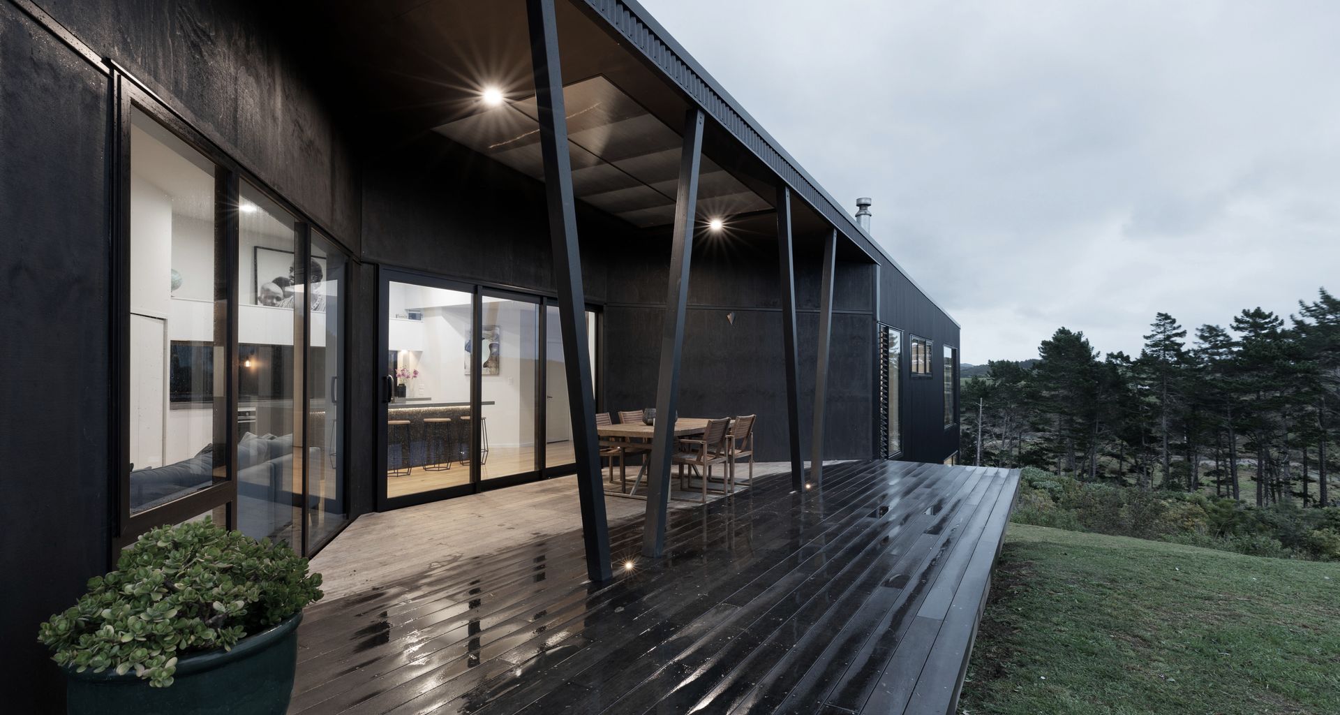 Eucalypt Haus banner