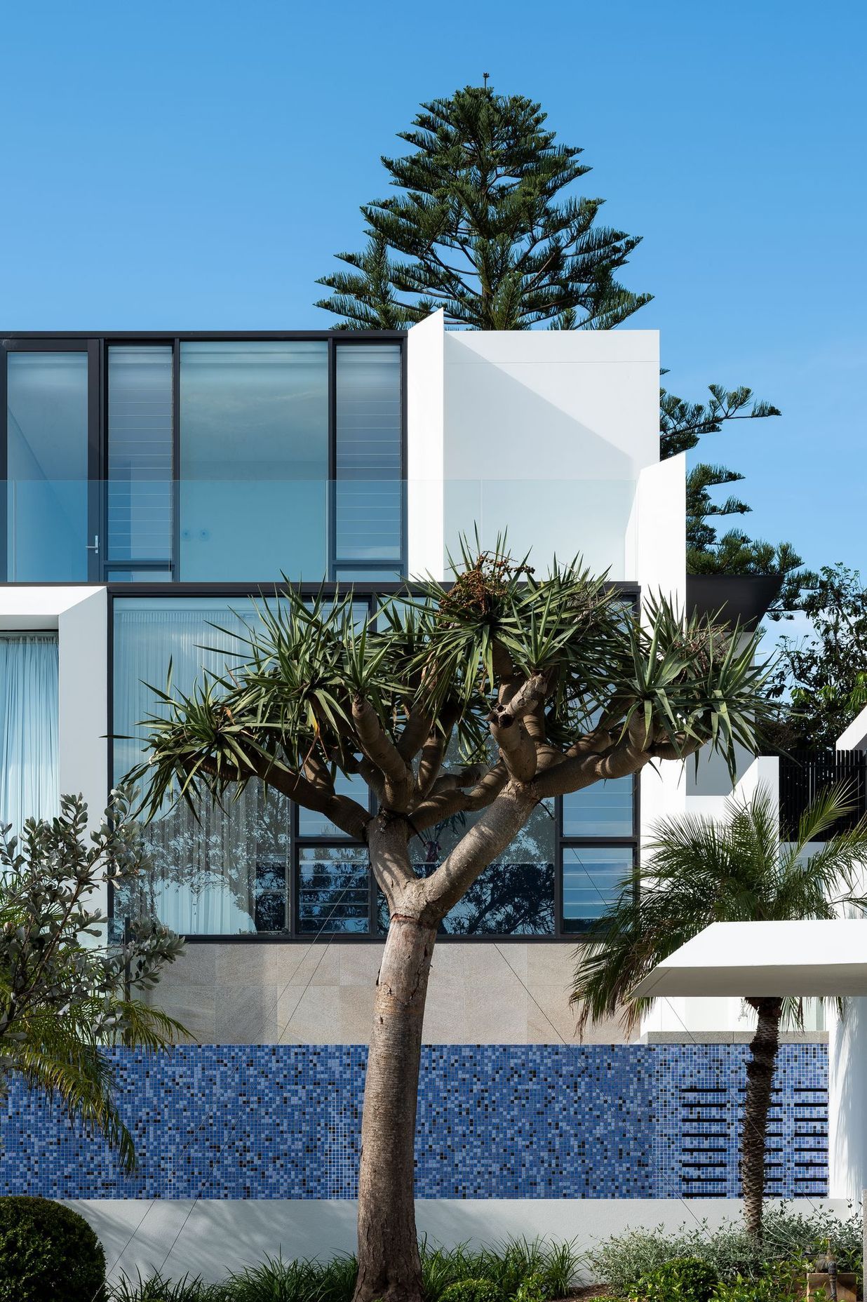 Rose Bay II