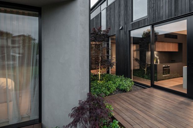 A contemporary courtyard viewed from an outdoor timber deck, framed by dark vertical cladding, charcoal window and door frames, and a textured grey rendered wall. Large glazed openings reveal a warm minimalist kitchen and interior spaces, while a planted garden bed with shrubs and a Japanese maple softens the courtyard edge.