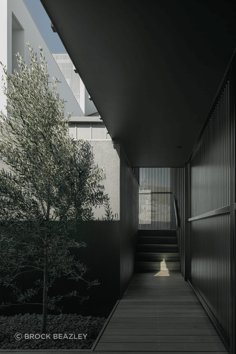 Full-Res-SRGB-15.png