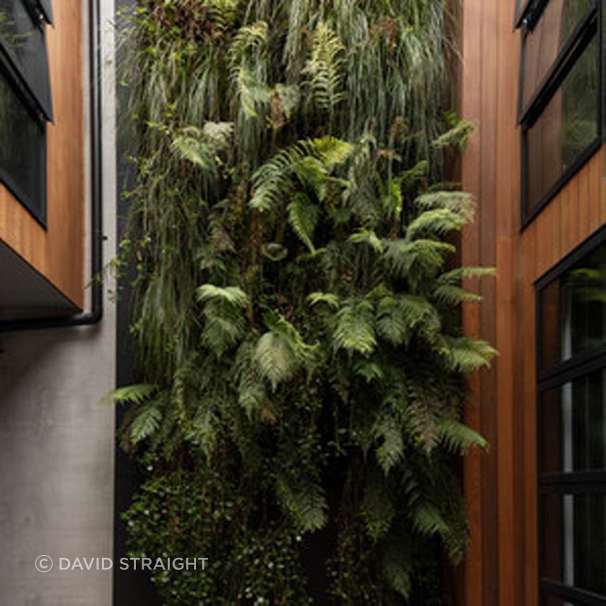 GRAFTON-HOUSE05.jpg