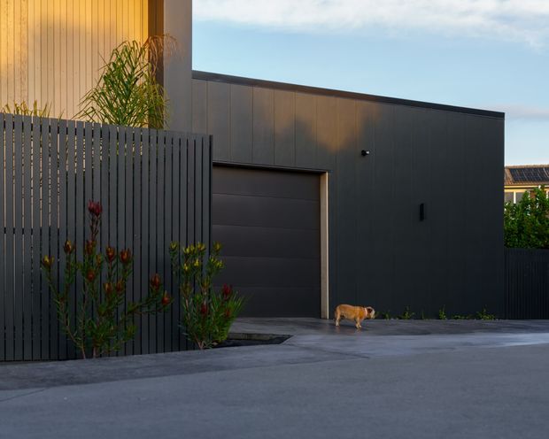 Contemporary dark-clad residential street frontage with a flat-roofed garage, tall vertical slatted privacy fencing, concrete driveway, and a warm timber-clad upper wall section. Sparse planting and a small dog appear in the foreground.