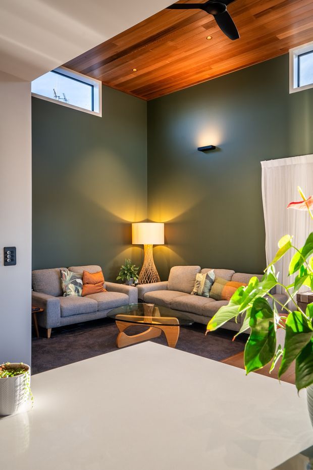 A cozy living room with dark olive-green walls, two grey upholstered sofas, colourful cushions, a sculptural wood-and-glass coffee table, and warm accent lighting. The room has a richly stained timber-lined ceiling with recessed spotlights and a black ceiling fan. High-set windows bring in daylight, while a large leafy indoor plant and a pale foreground surface add contrast.
