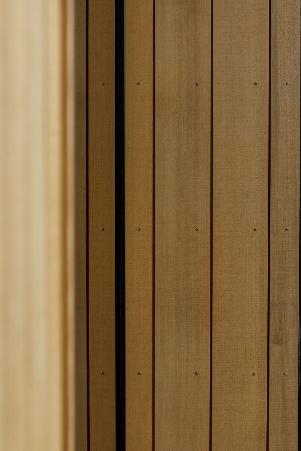 GeniaBelvedere-DriveCedar-Cladding-CloseUp-01.jpg