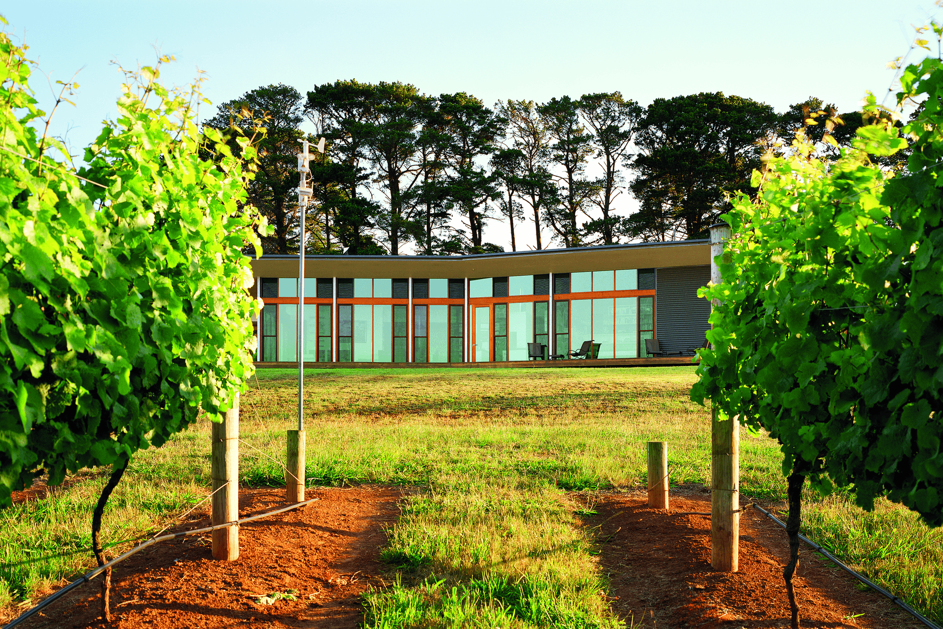 Photography: Emma Cross