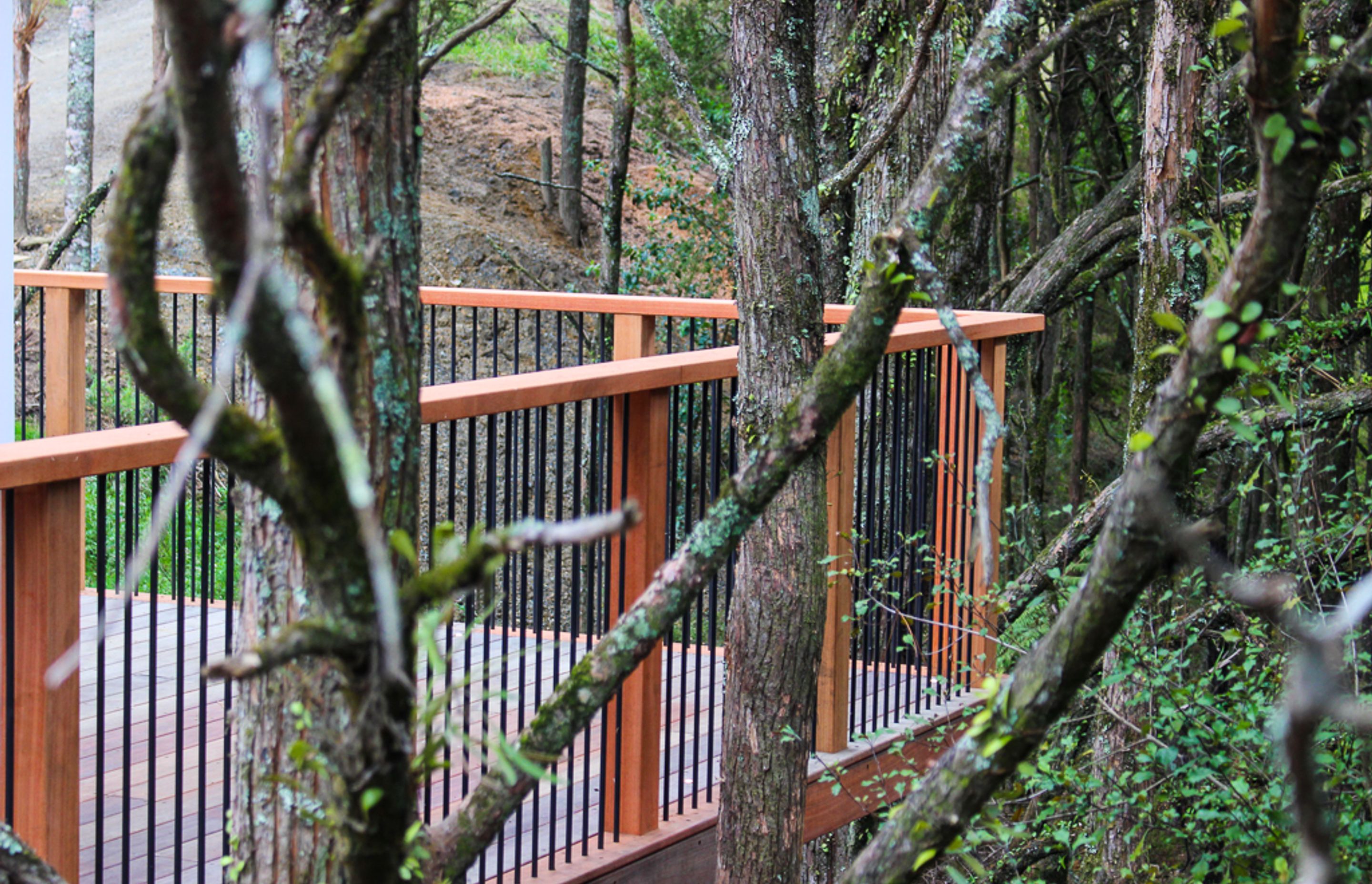 Custom built deck railing / balustrade is made from powder coated aluminum contrasted with Saligna timber. Nestled among the trees this will only get better with age as the timber silvers