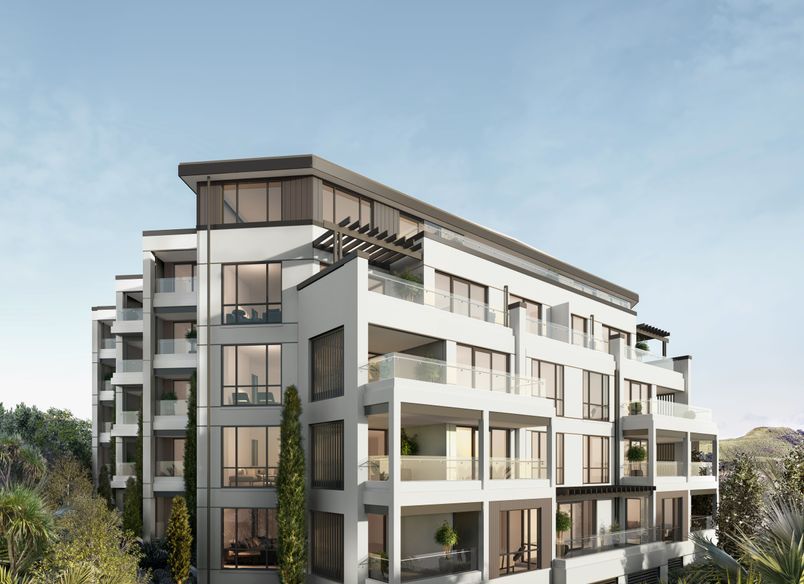 308 Remuera