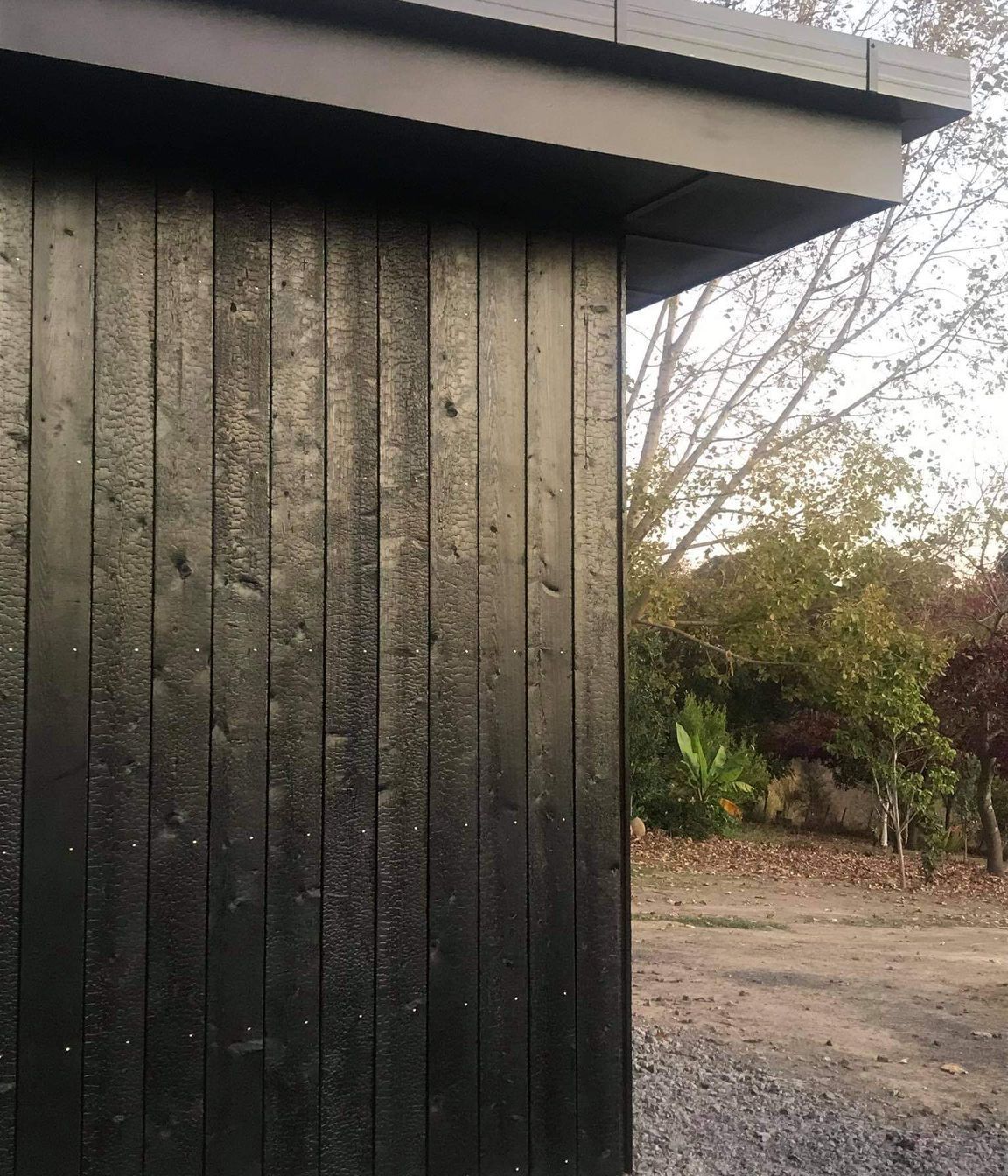 Millar Rd, Hawkes Bay - Charred Siberian Larch