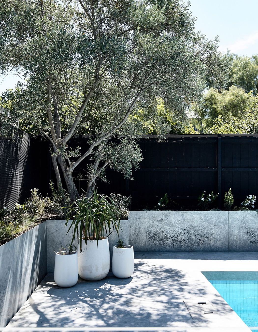 Photography: Derek Swalwell