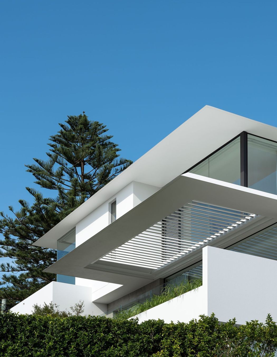 Rose Bay II