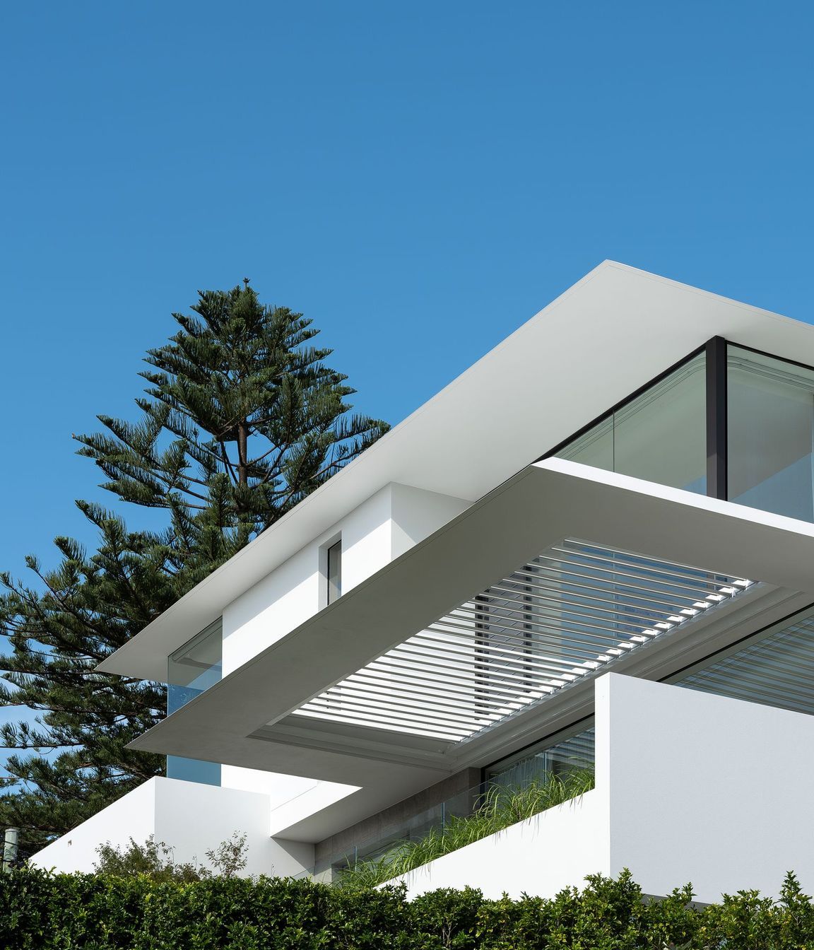 Rose Bay II