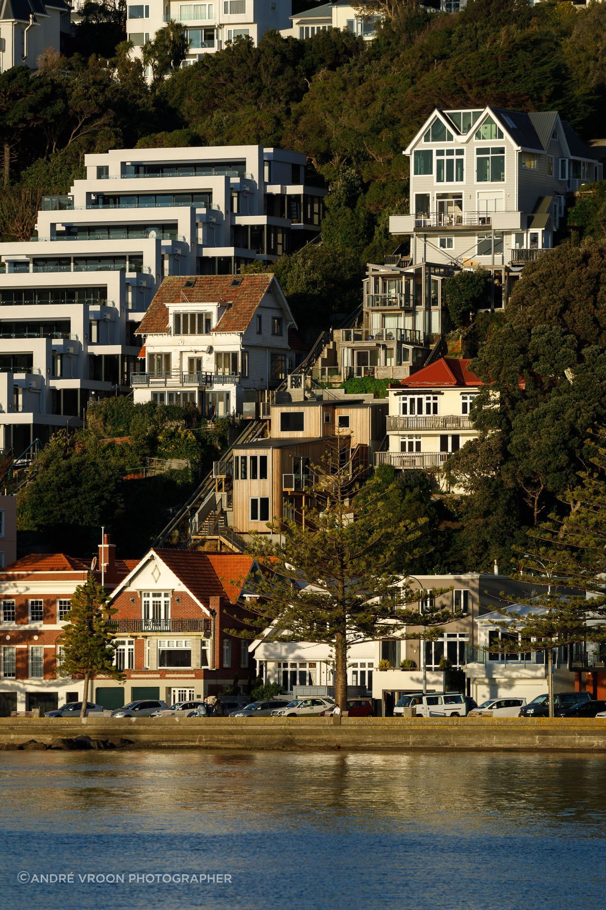 Oriental Bay House
