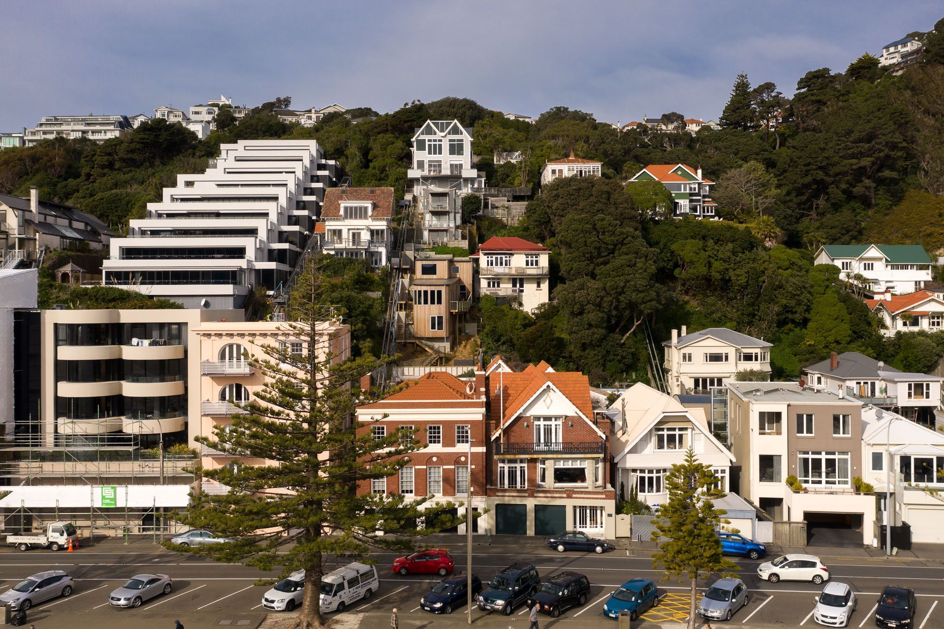 Oriental Bay House