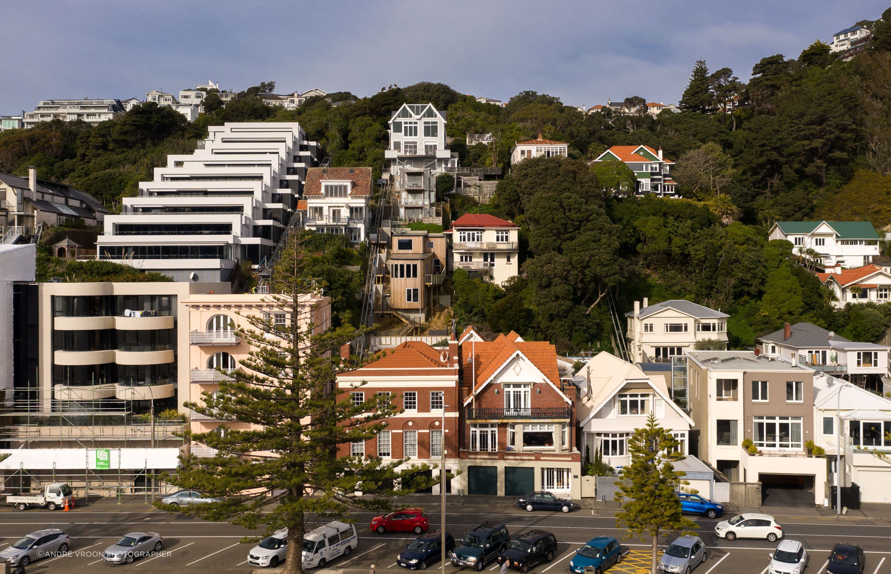 Oriental Bay House
