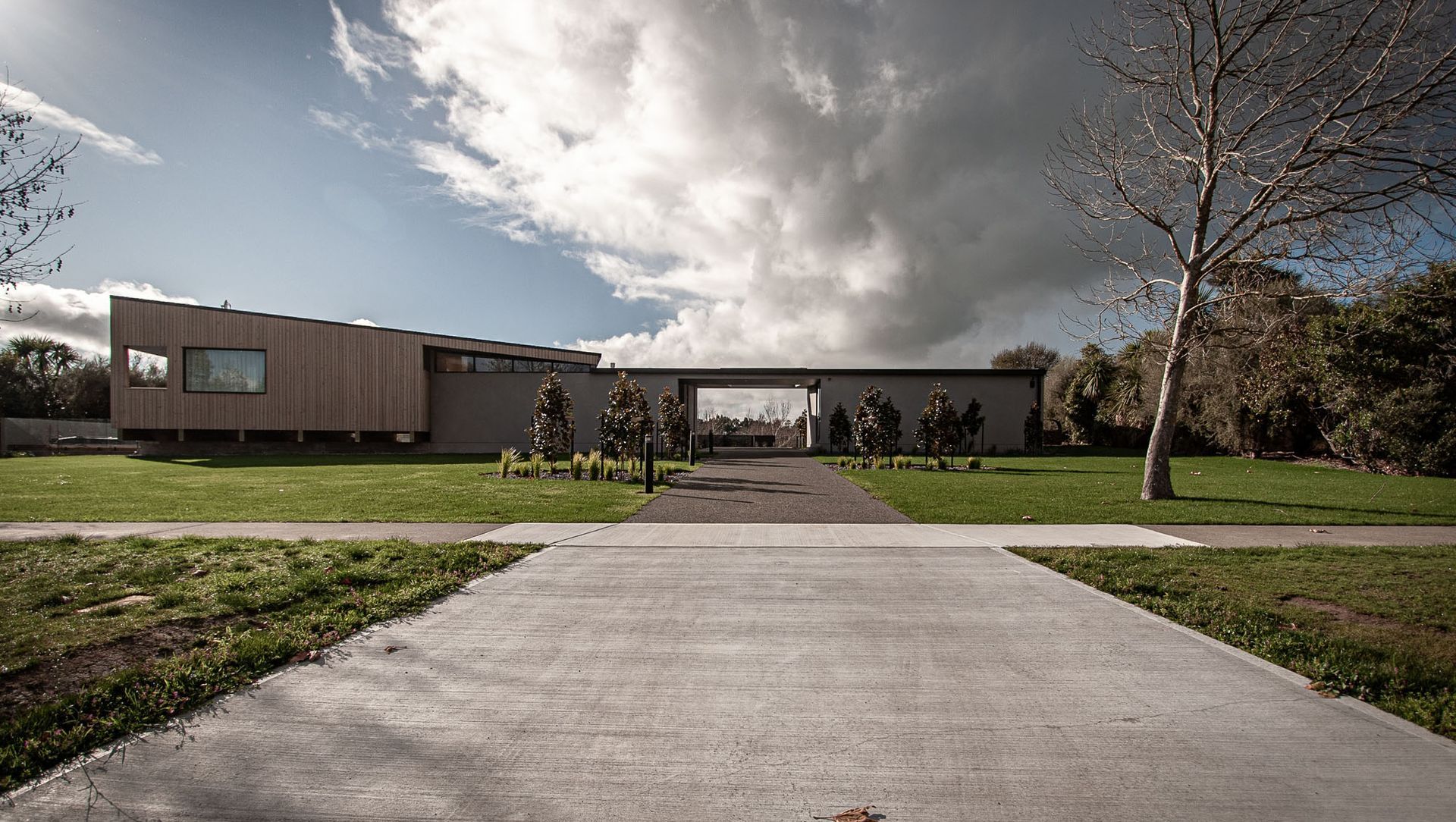 Peek of Curiosity | Martinborough Estate banner