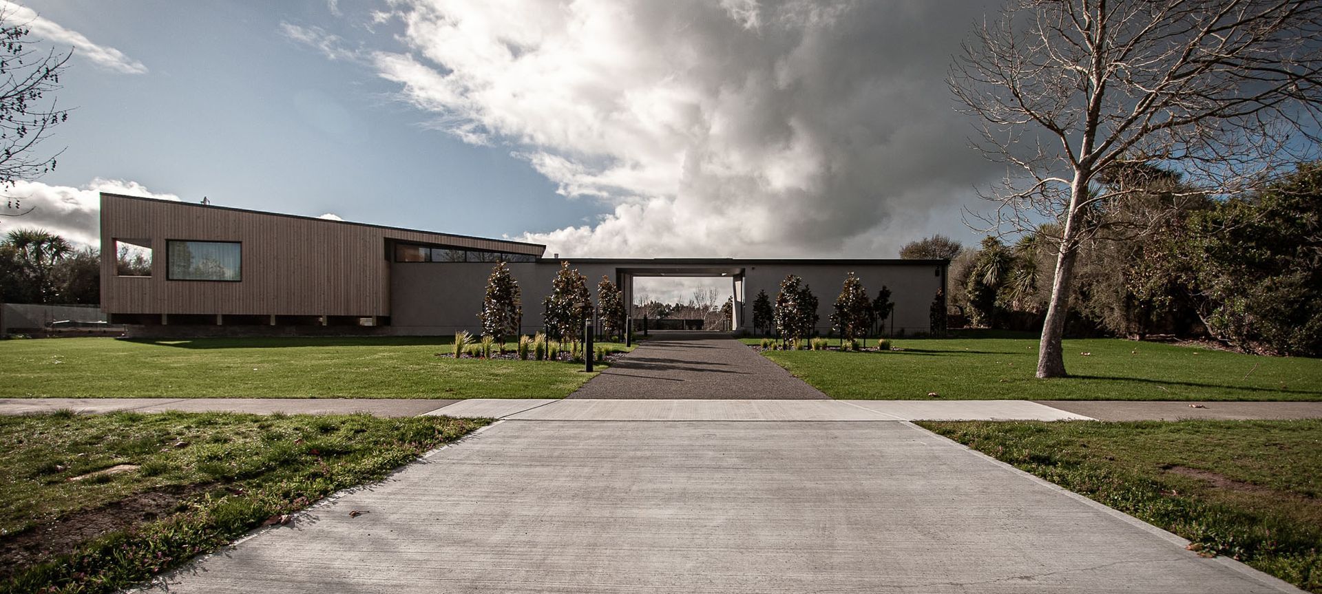 Peek of Curiosity | Martinborough Estate banner