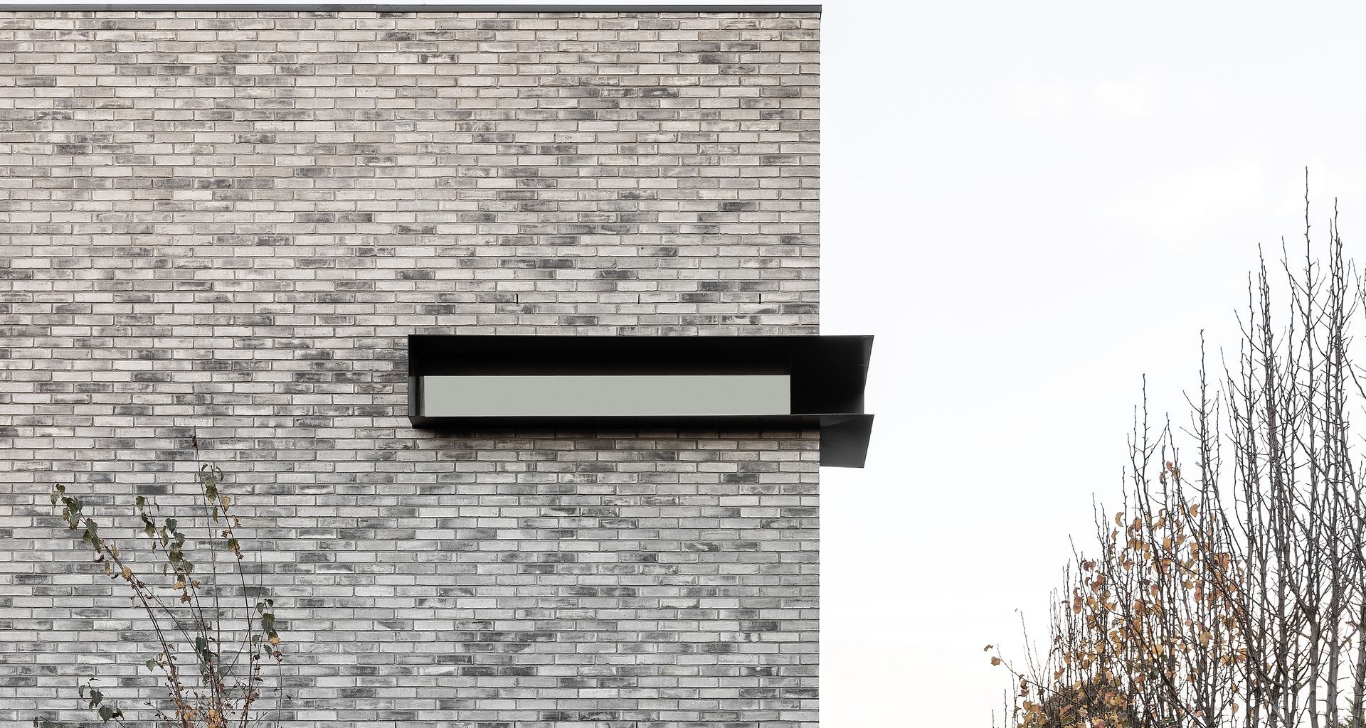 50 Shades of Grey banner
