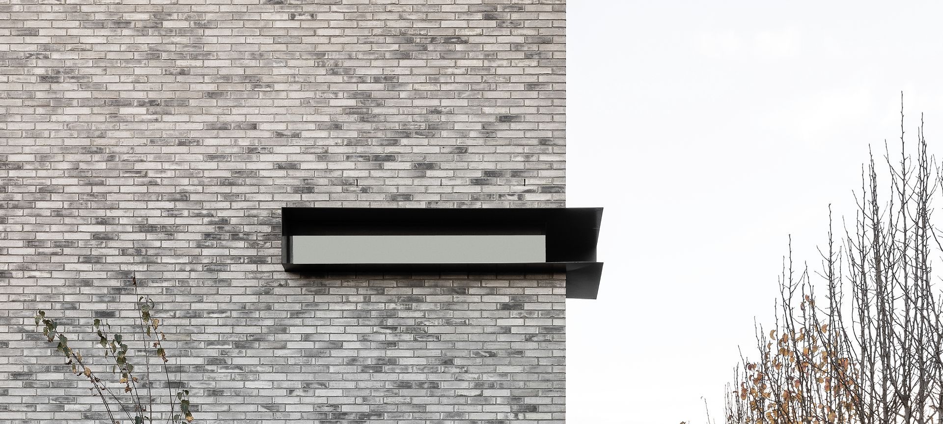50 Shades of Grey banner