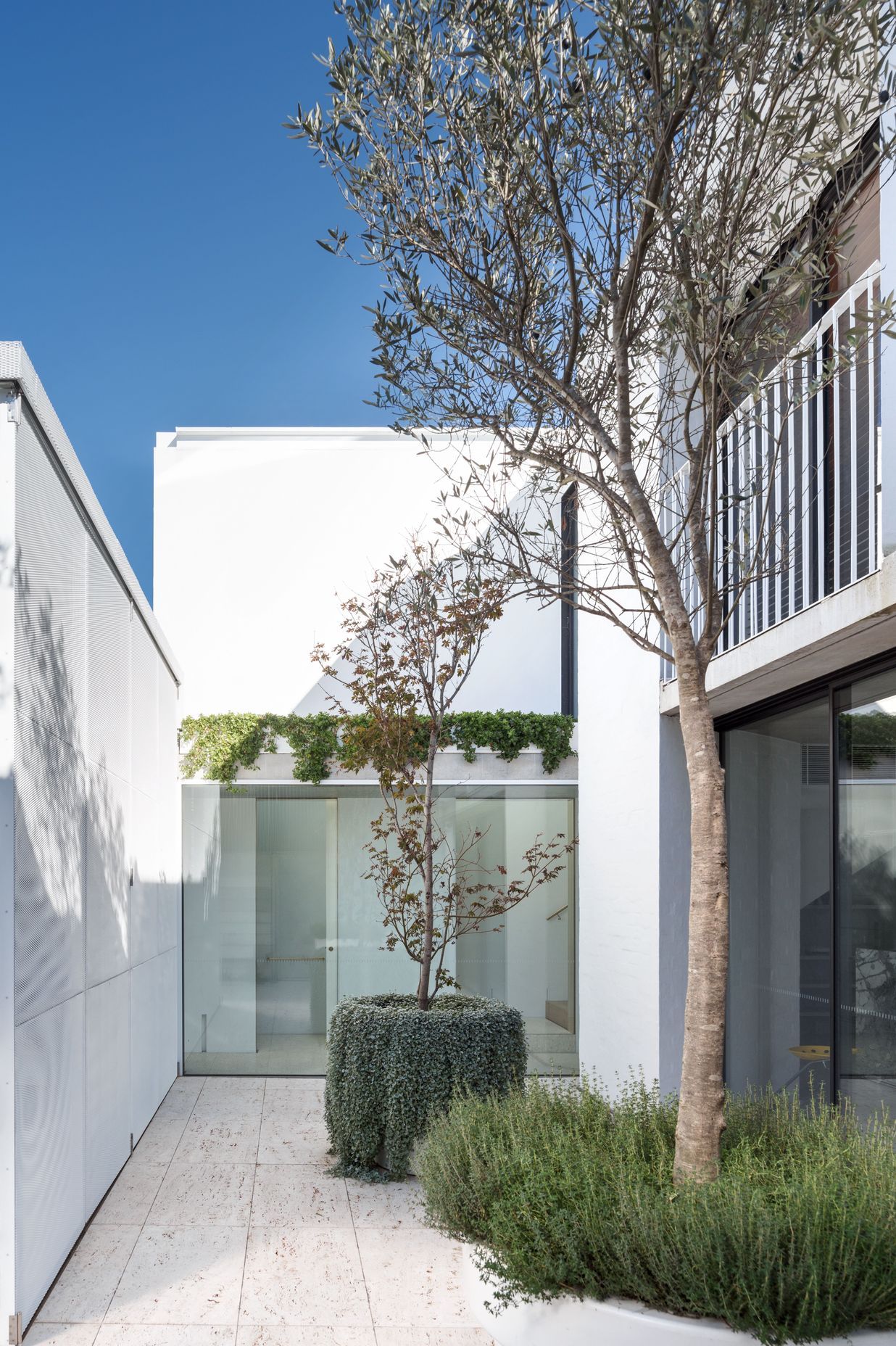 Woollahra Terraces, Sydney