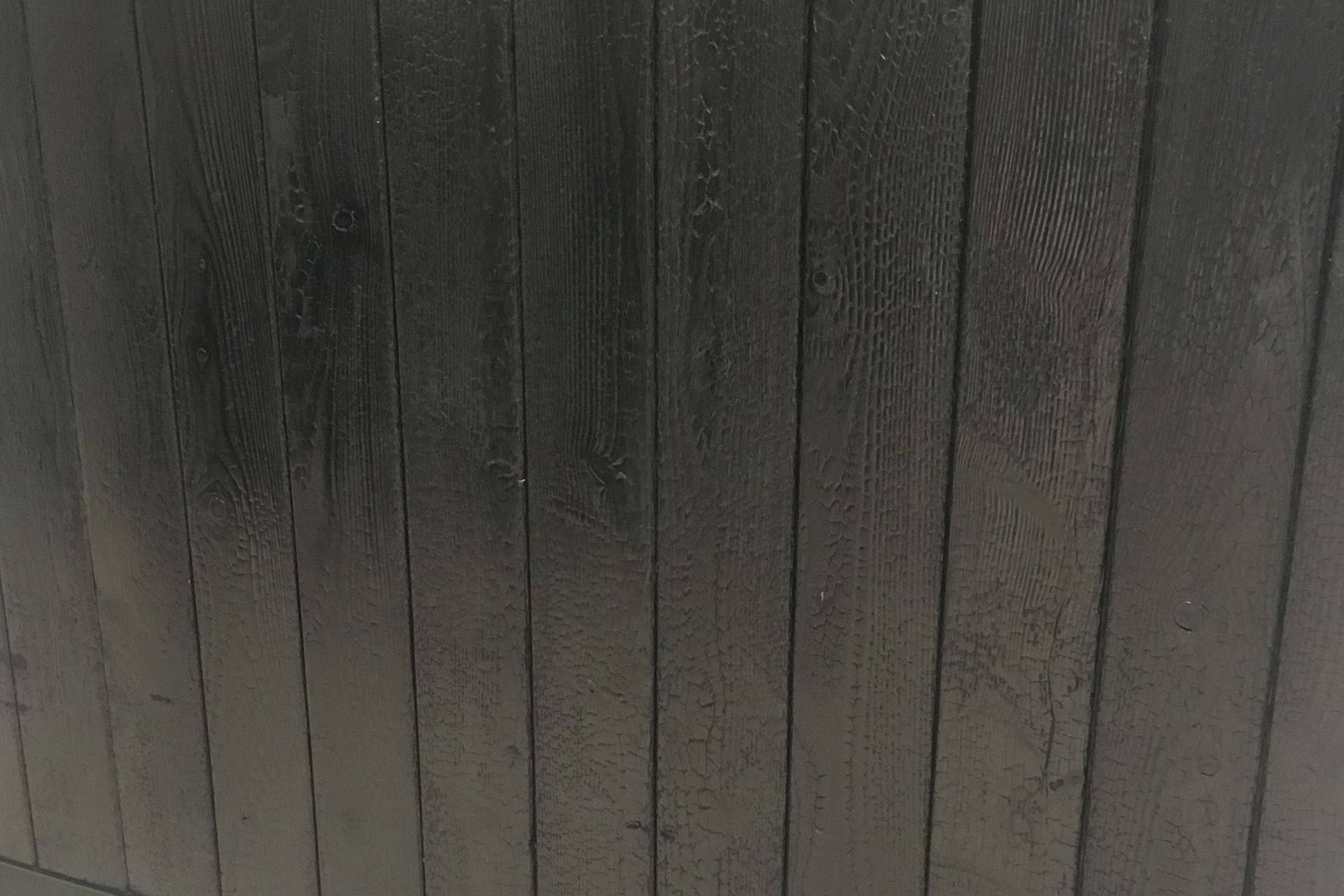 Sushi Bar, Riccarton Mall, Christchurch