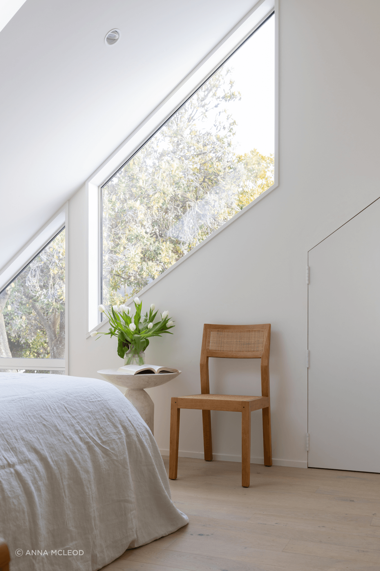 Treetop views from the spare bedroom