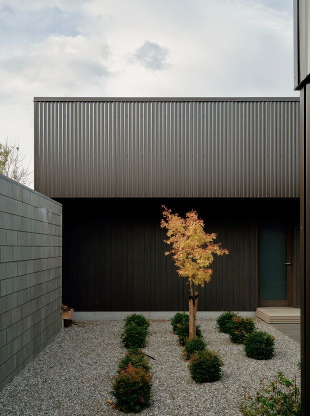A minimalist enclosed courtyard viewed from within, featuring a dark metal-clad building facade, a vertically ribbed upper wall, a blockwork boundary wall, gravel groundcover, clipped shrubs, and a small ornamental tree. A partially visible doorway with timber steps is at right, beneath a simple flat-roofed architectural form. The scene has a restrained, contemporary material palette and strong geometric composition.