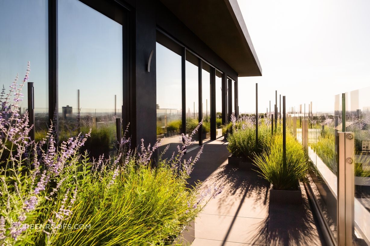 Skyhouse114-Erik-Holt-Photography-rooflite.jpg