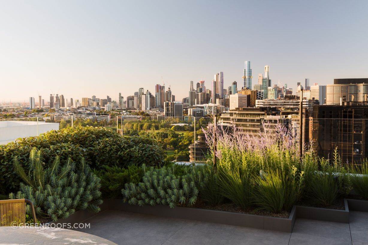 Skyhouse362-Erik-Holt-Photography-rooflite.jpg