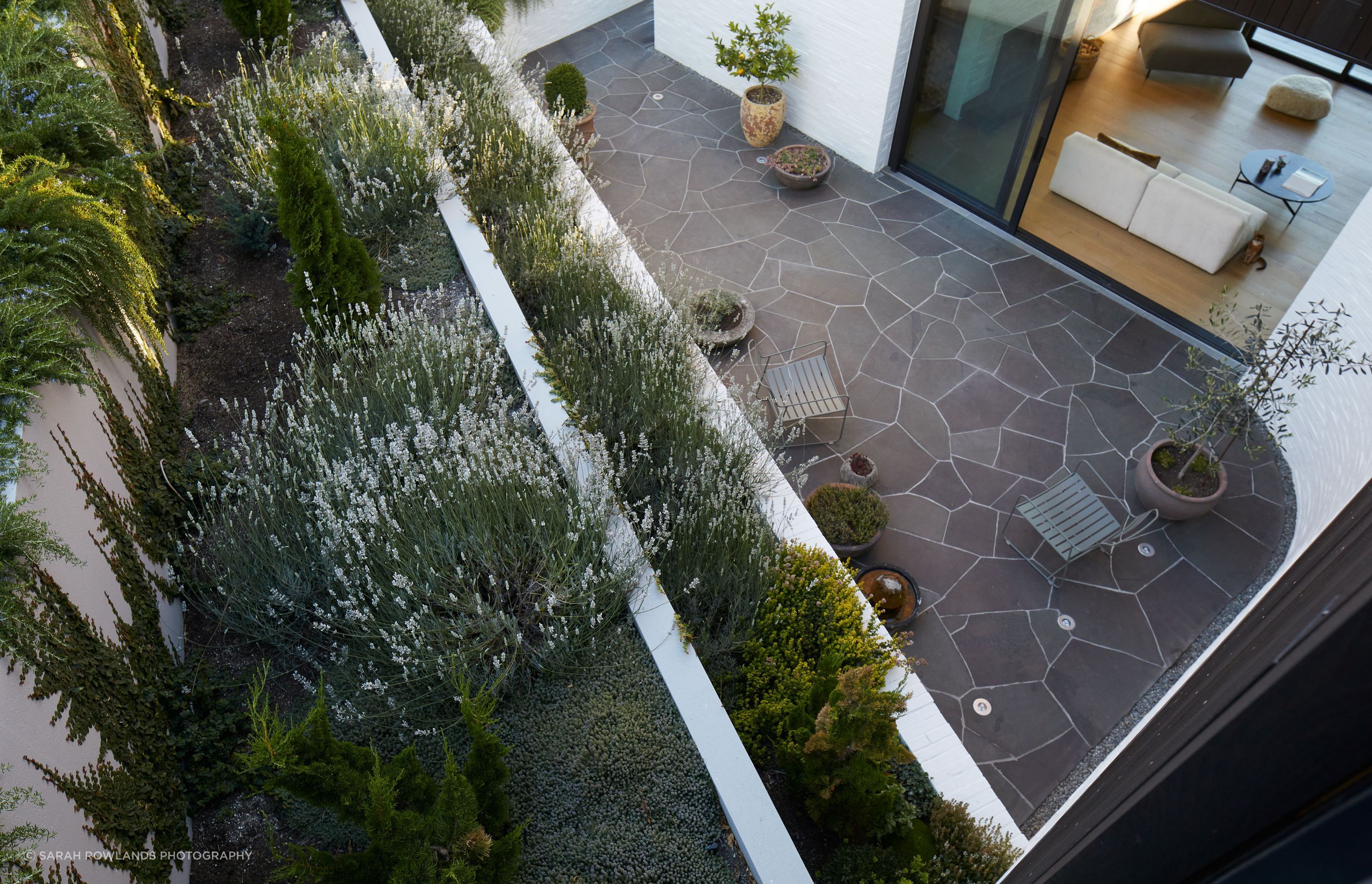 Sunrise-Lane-HouseCourtyardSarah-Rowlands7.jpg