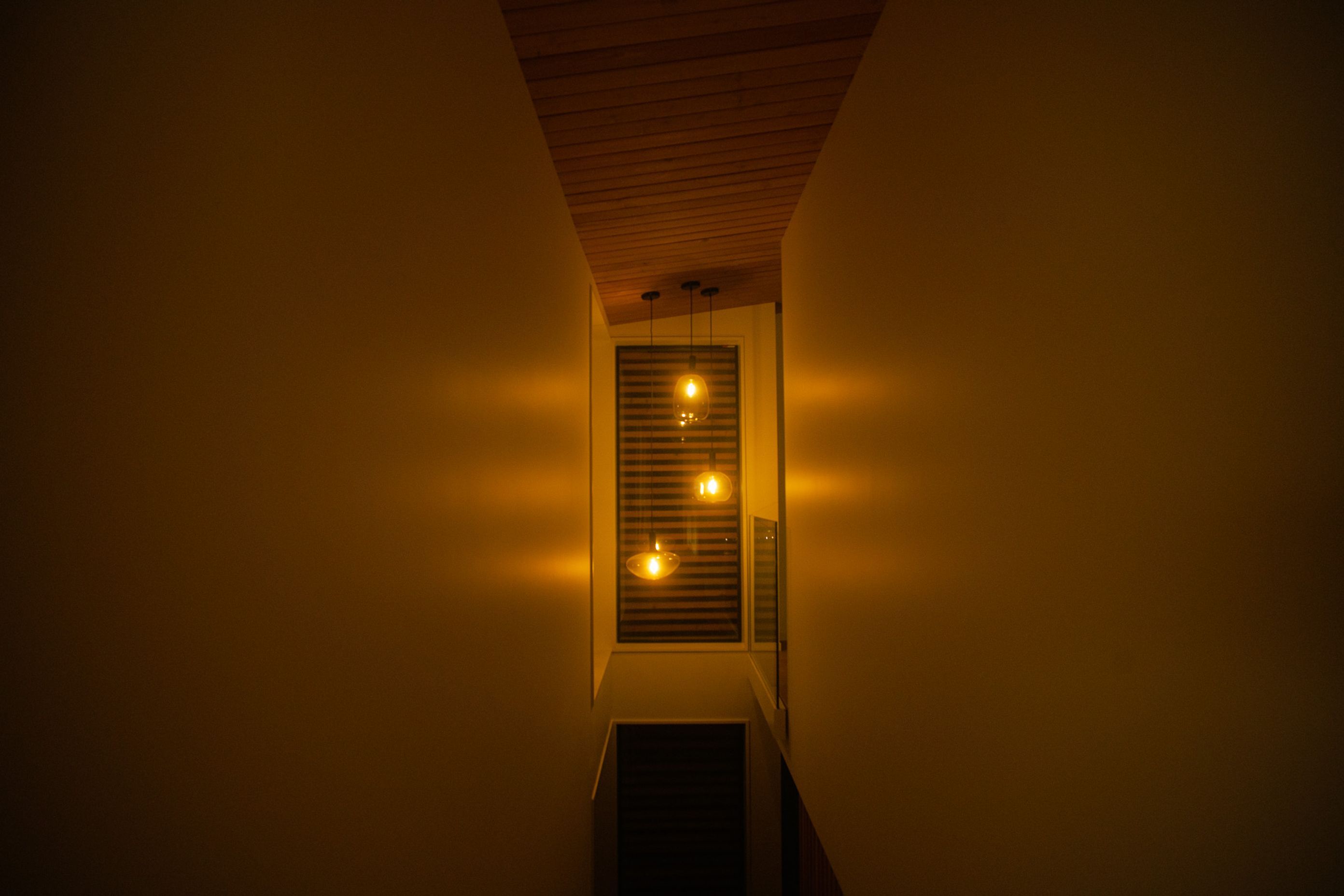 TFC08782.jpg