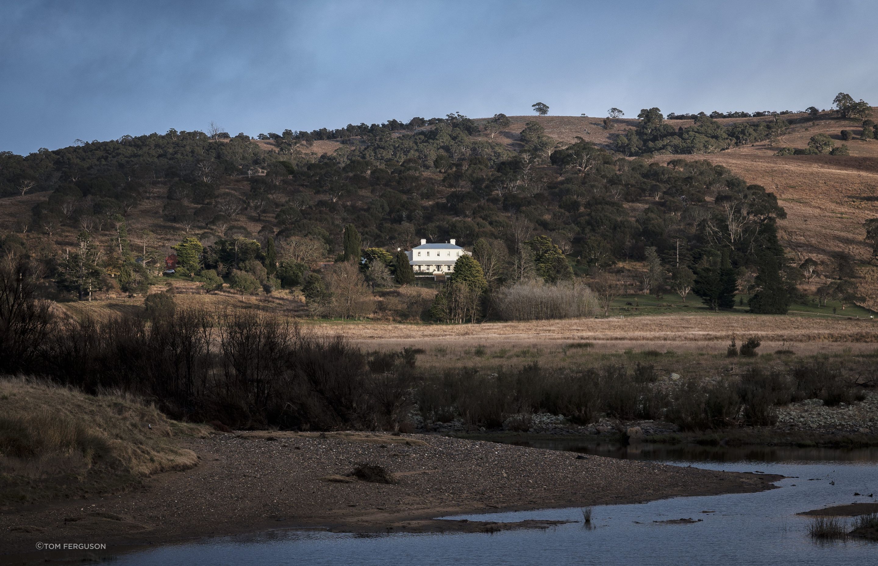 The Estate