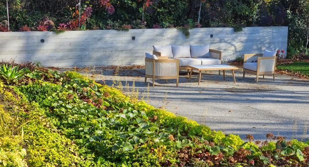 A landscaped outdoor seating area with a contemporary lounge setting on a light gravel or paved surface. Two woven-back armchairs, a matching sofa, and a low timber coffee table sit beside a long pale rendered or concrete garden wall, surrounded by dense layered planting and mature greenery. The scene is sunlit with a relaxed, natural garden atmosphere.