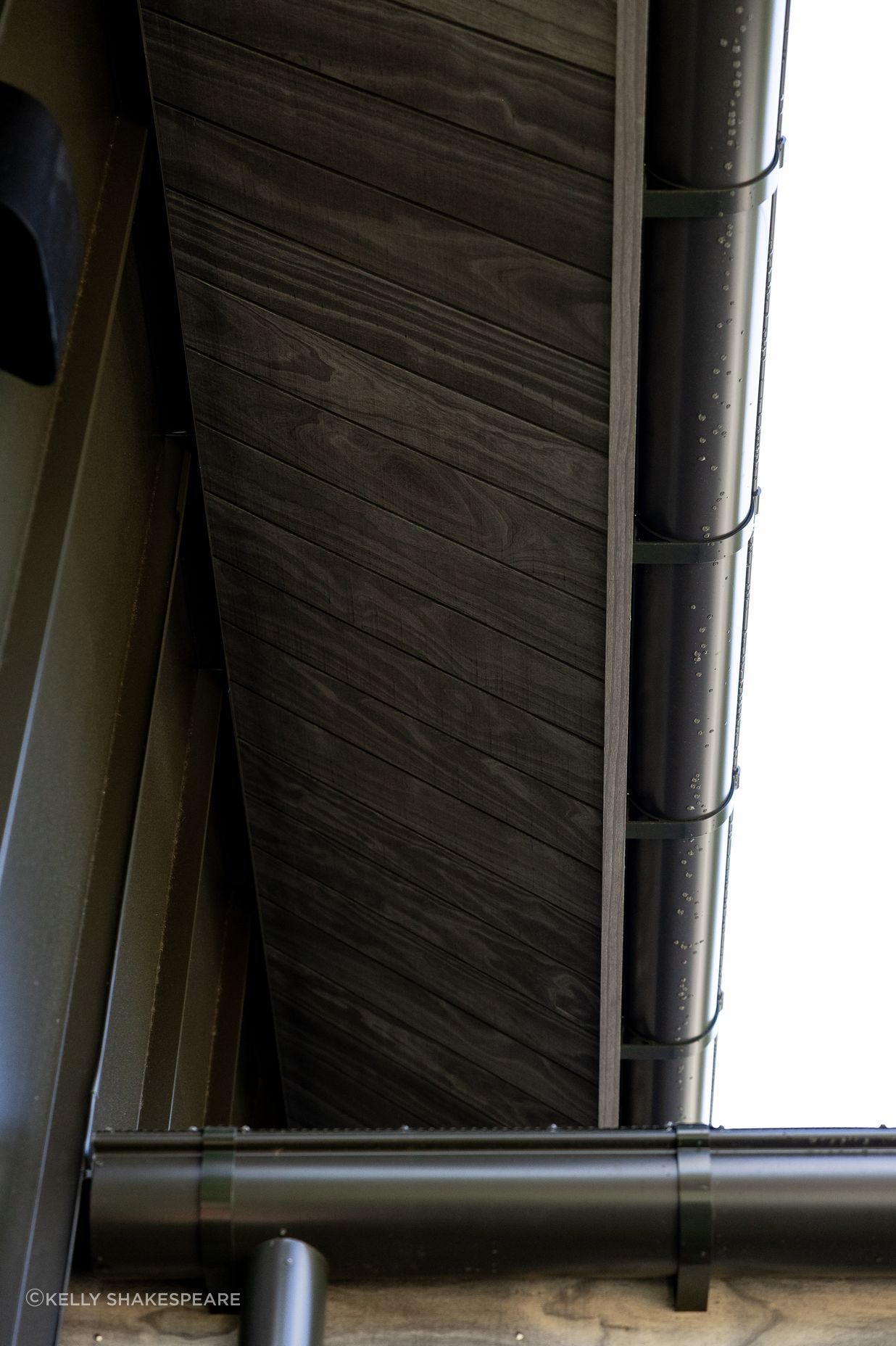 ThorringtonRoad-McDonnell45947.jpg
