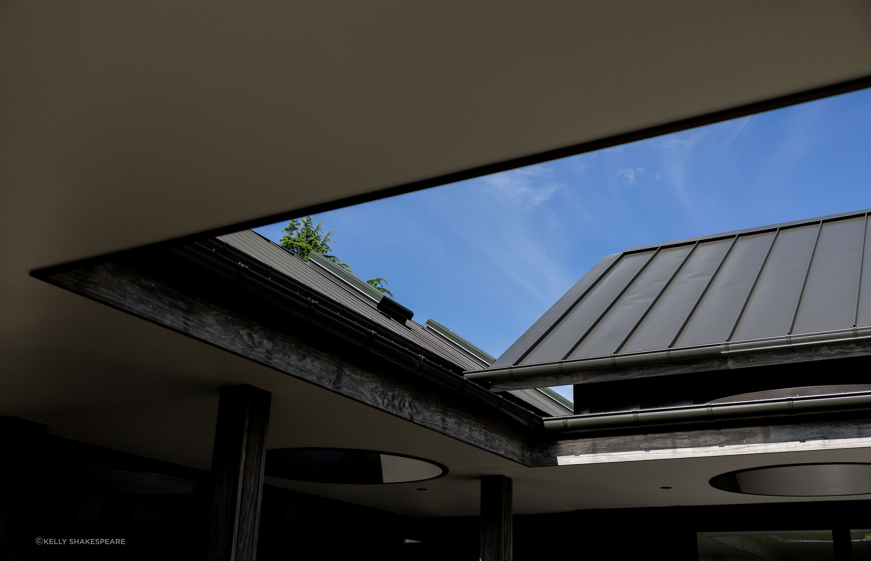 ThorringtonRoad-McDonnell46093.jpg