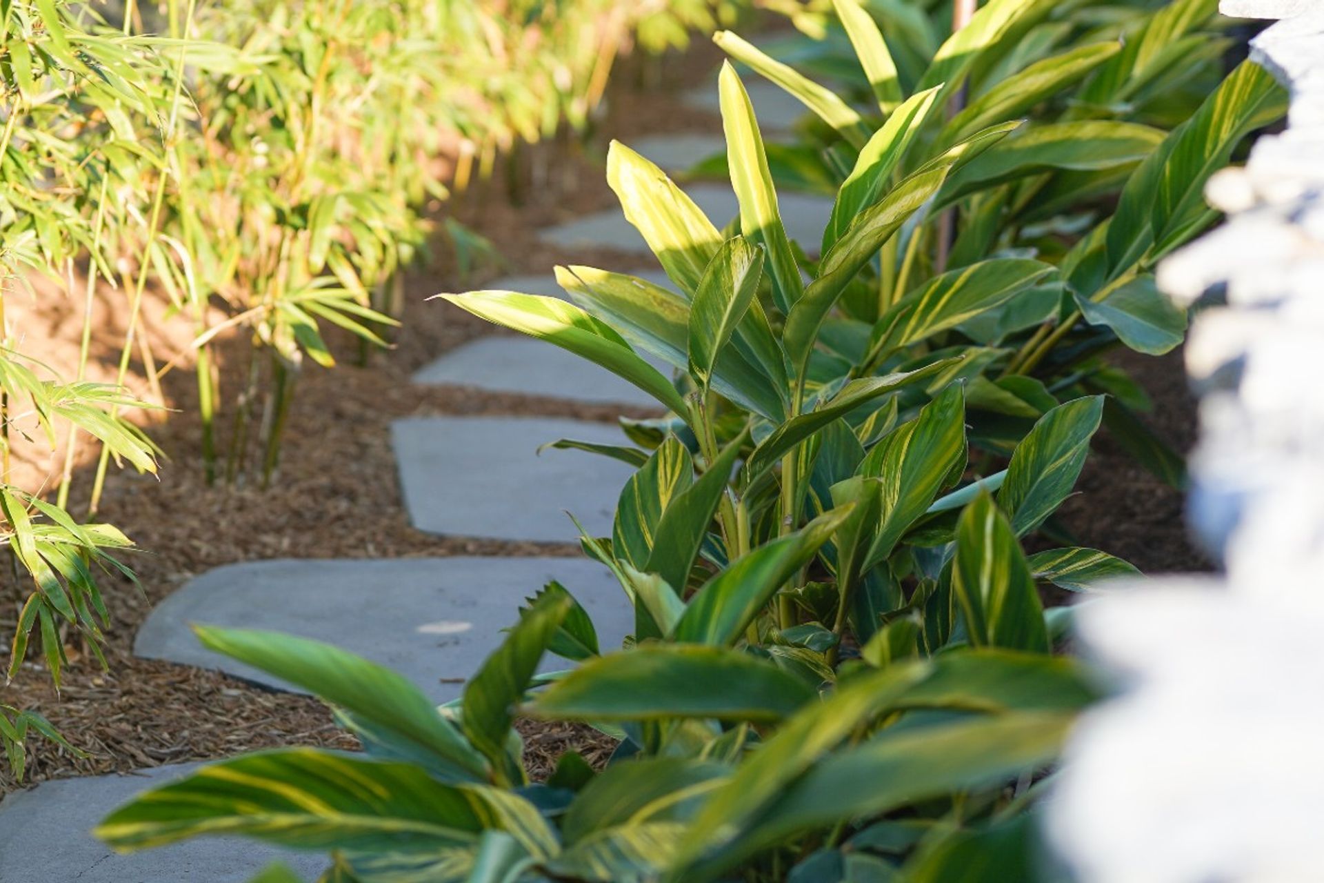 Silhouette Granite Flamed | Outside Indulgence