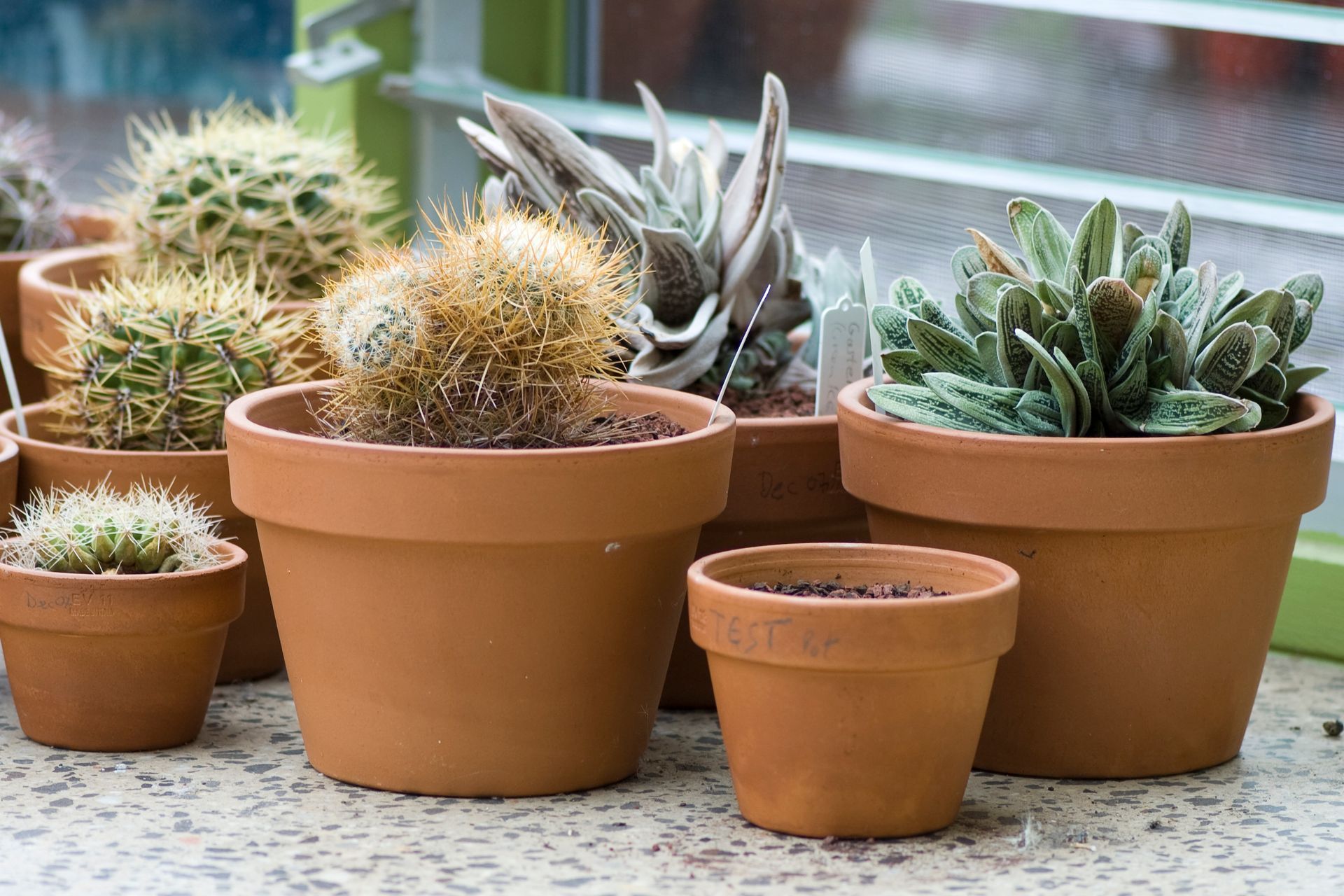 Queens Park Residence