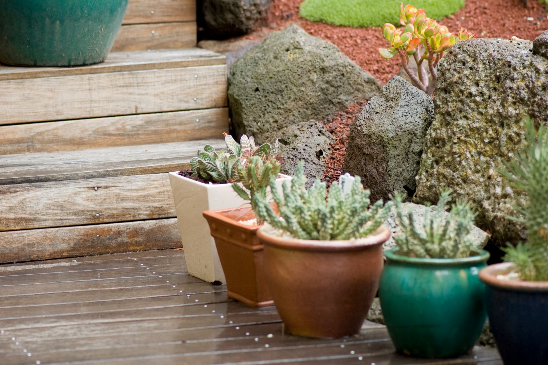 Queens Park Residence